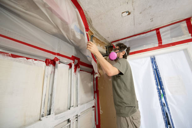Best Mold Remediation for Healthcare Facilities  in Hialeah, FL