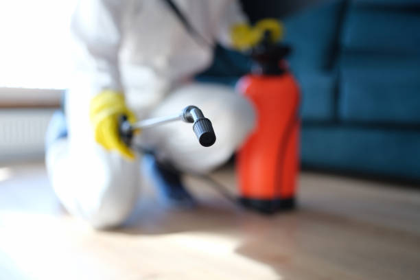 Best Environmental Consulting for Mold Prevention  in Hialeah, FL